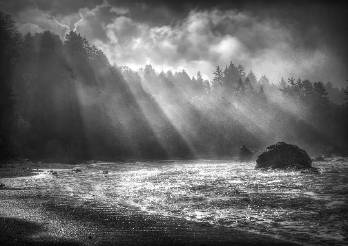 Sea Rays<p>&copy; Gary Wagner</p>