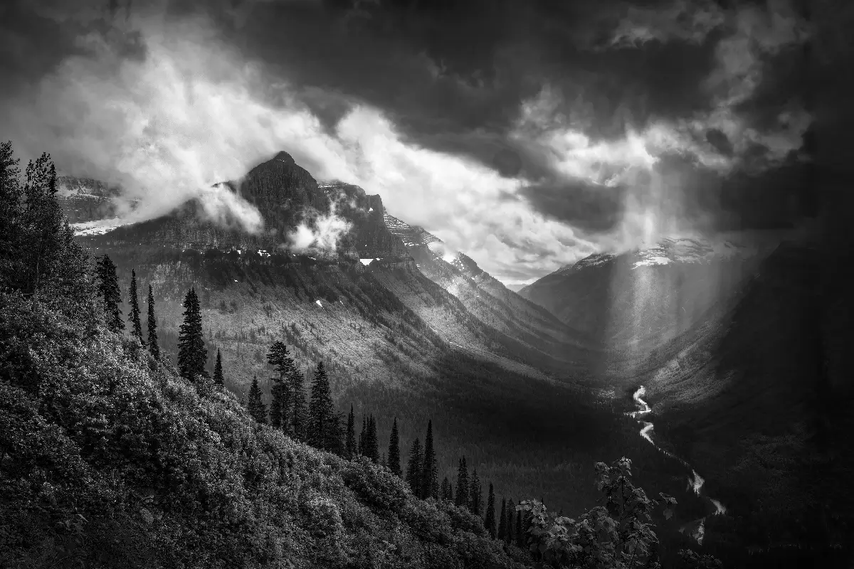 Shining Bright<p>&copy; Gary Wagner</p>