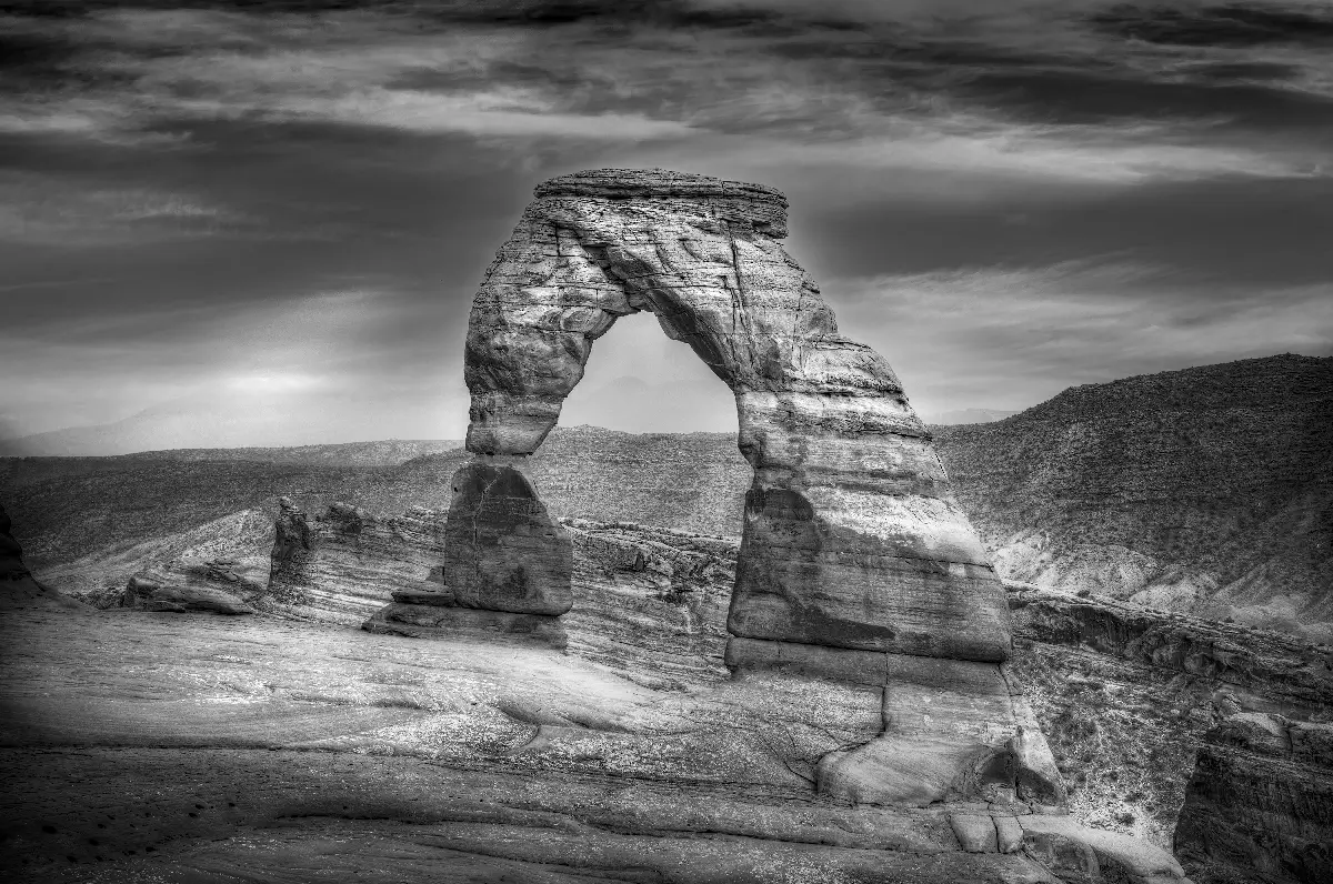 Very Delicate<p>&copy; Gary Wagner</p>