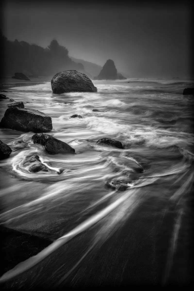 Beauty Lines<p>&copy; Gary Wagner</p>