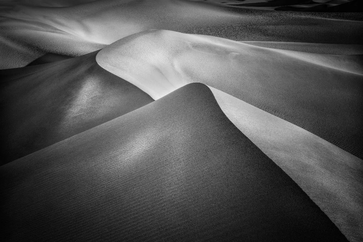 Dune View<p>&copy; Gary Wagner</p>