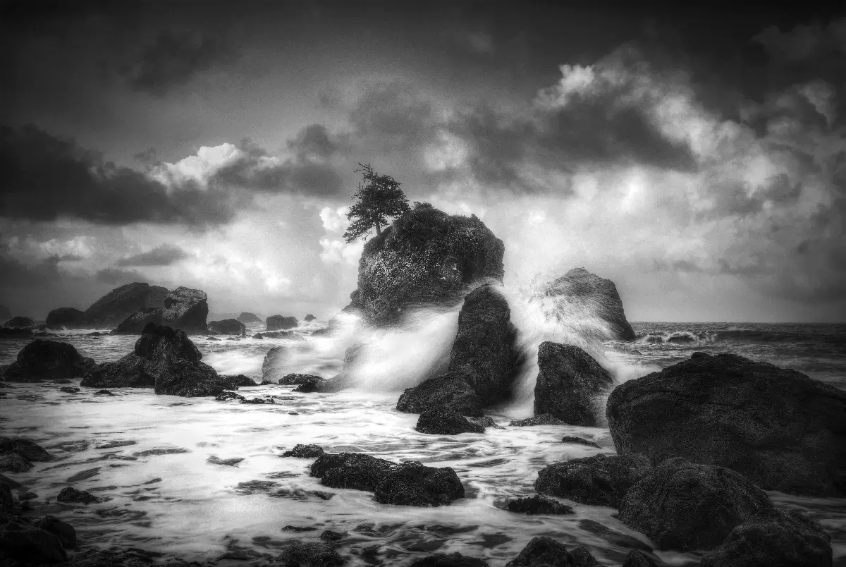 Morning Seas<p>&copy; Gary Wagner</p>