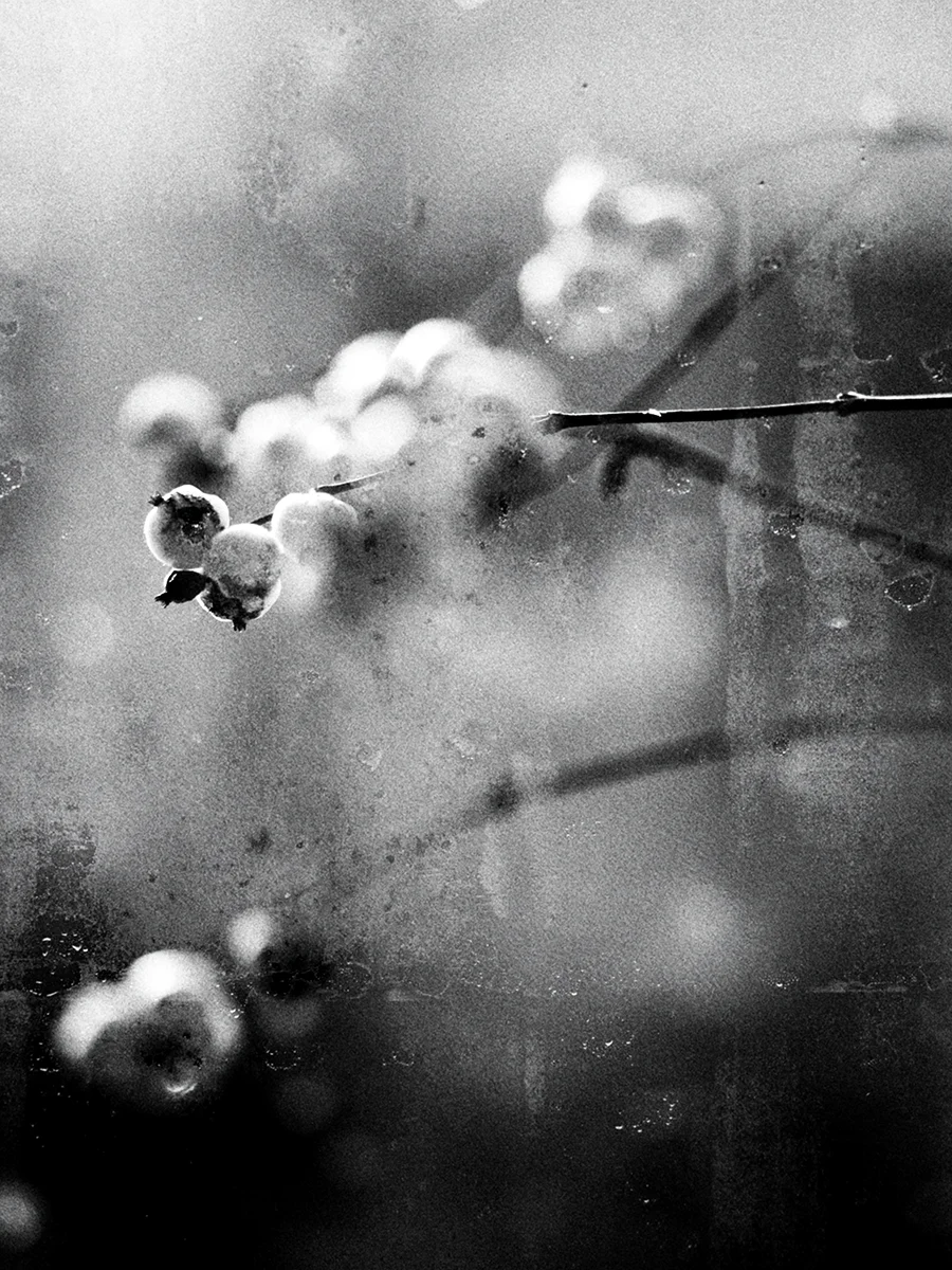 Existence and Dissolution<p>© Julie Wang</p>