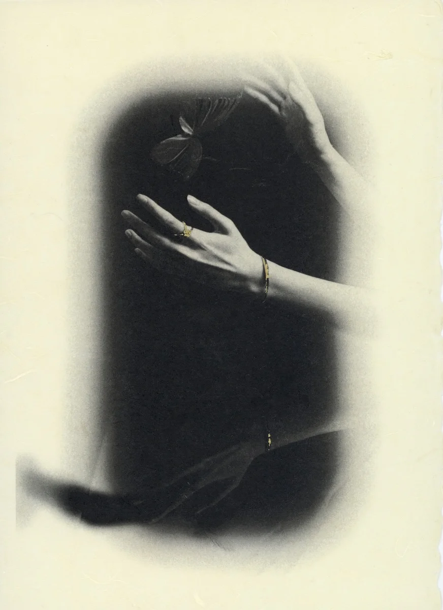 <p>&copy; Shulan Wang</p>