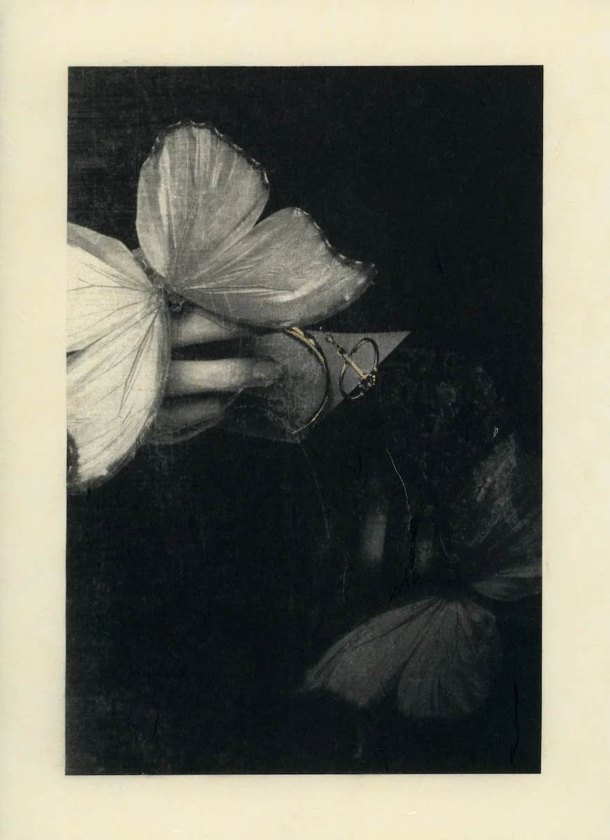 <p>&copy; Shulan Wang</p>