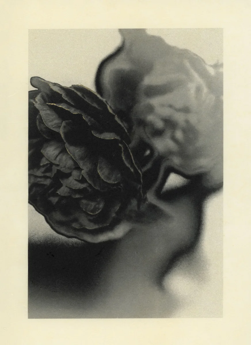 <p>&copy; Shulan Wang</p>