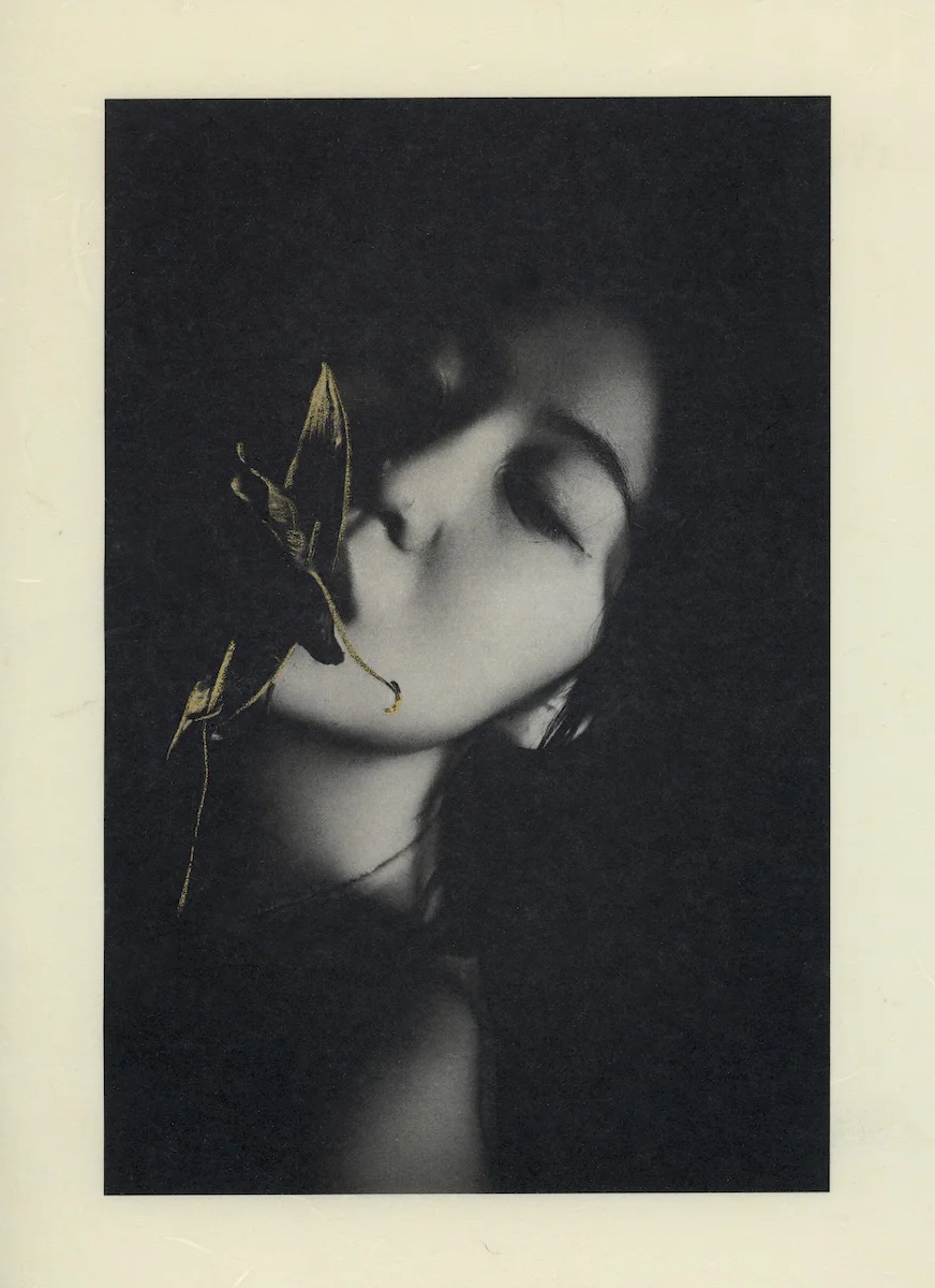 <p>&copy; Shulan Wang</p>