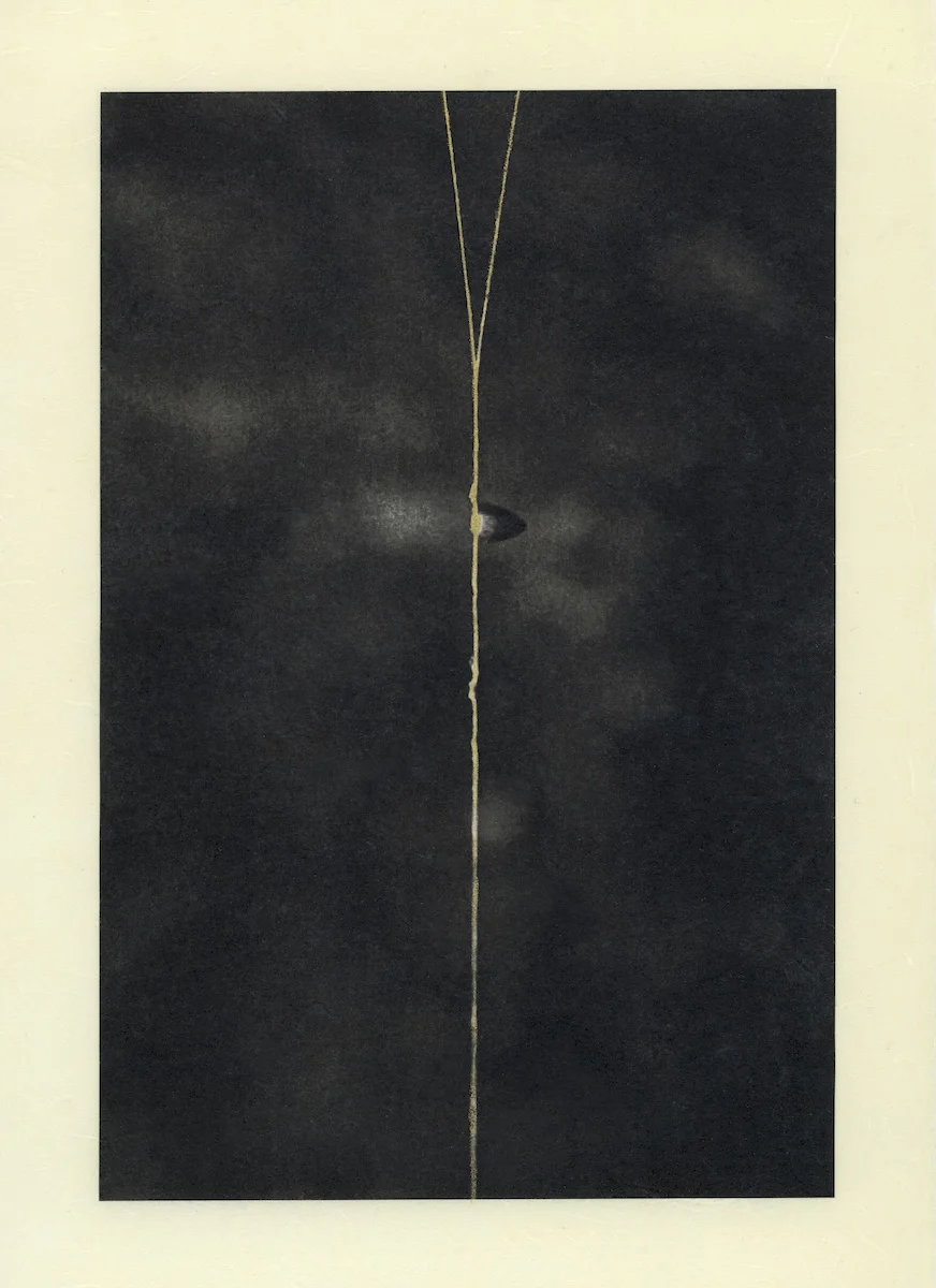 <p>&copy; Shulan Wang</p>