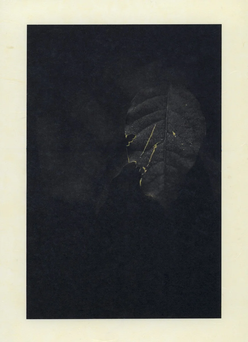 <p>&copy; Shulan Wang</p>
