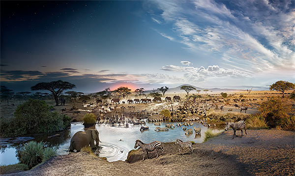 Day to Night, Serengeti, Tanzania 2015<p>© Stephen Wilkes</p>