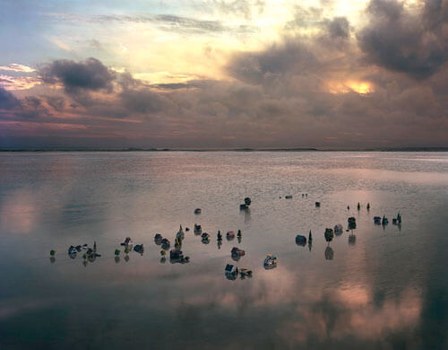 After the Rain, 2012<p>© Thomas Wrede</p>