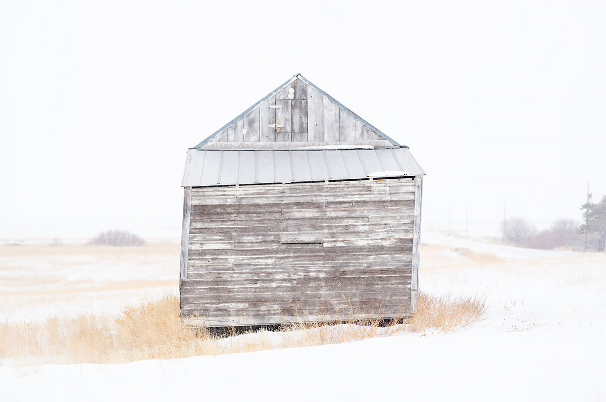 Wood #3<p>© Wendel Wirth</p>