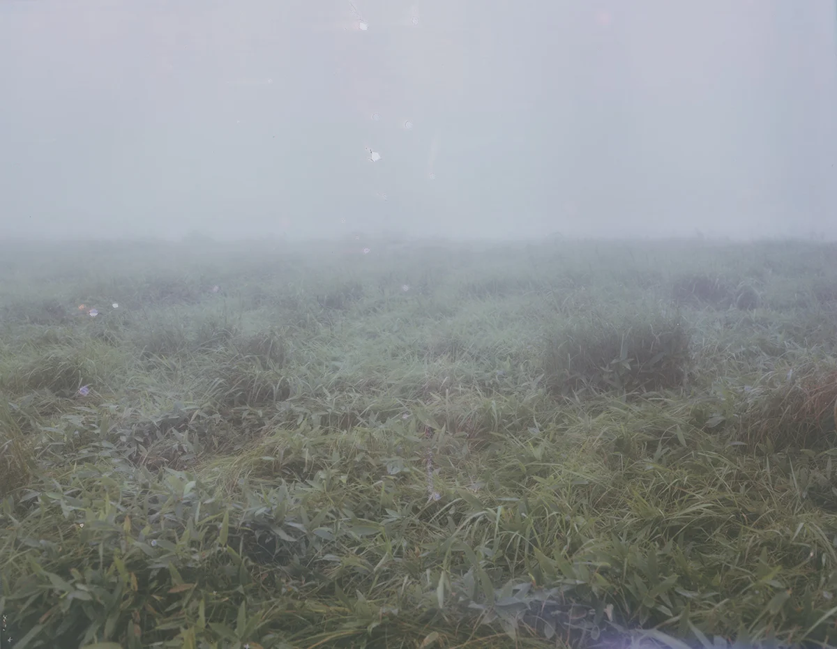 <p>&copy; Yuji Watanabe</p>