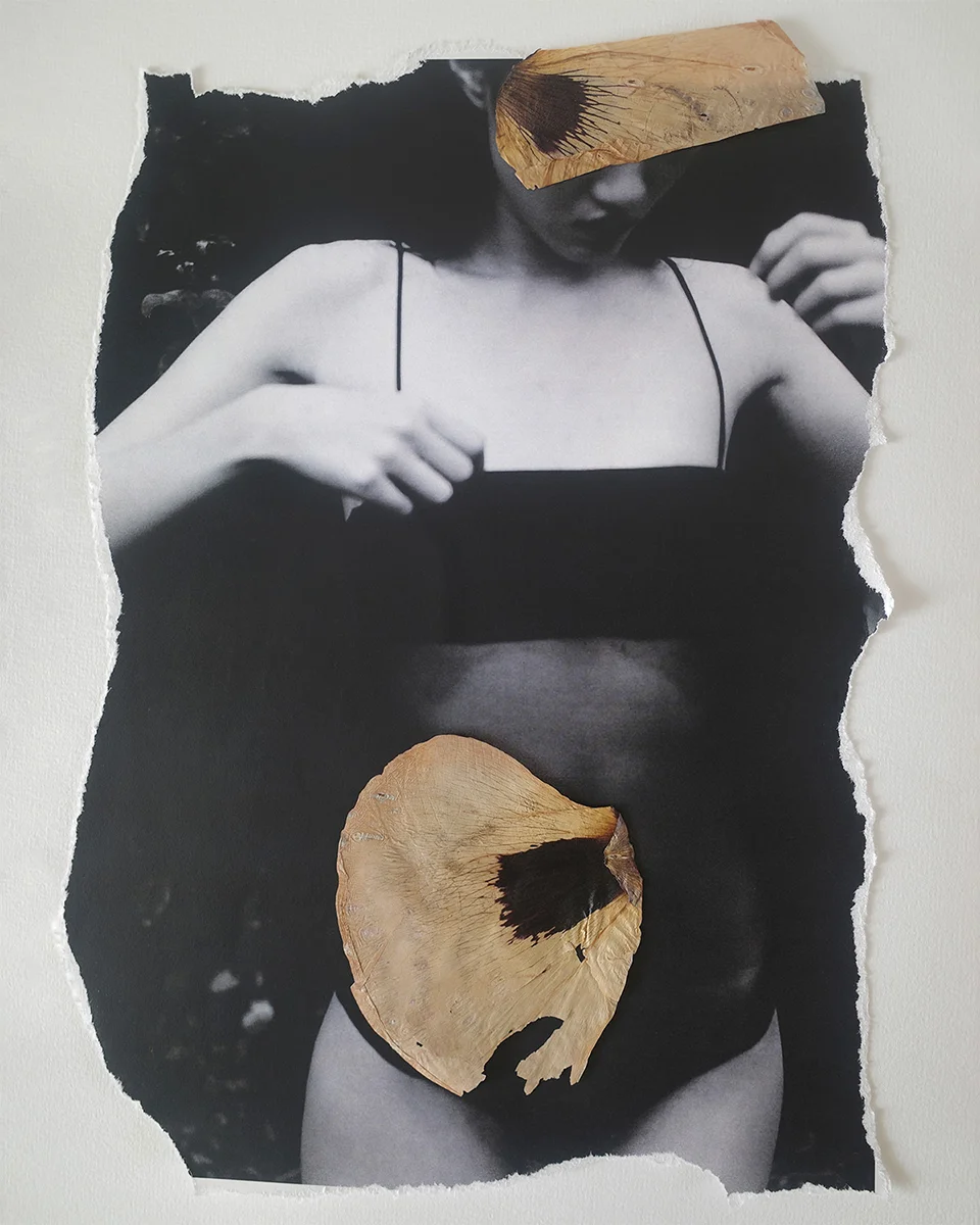 <p>&copy; Yuji Watanabe</p>