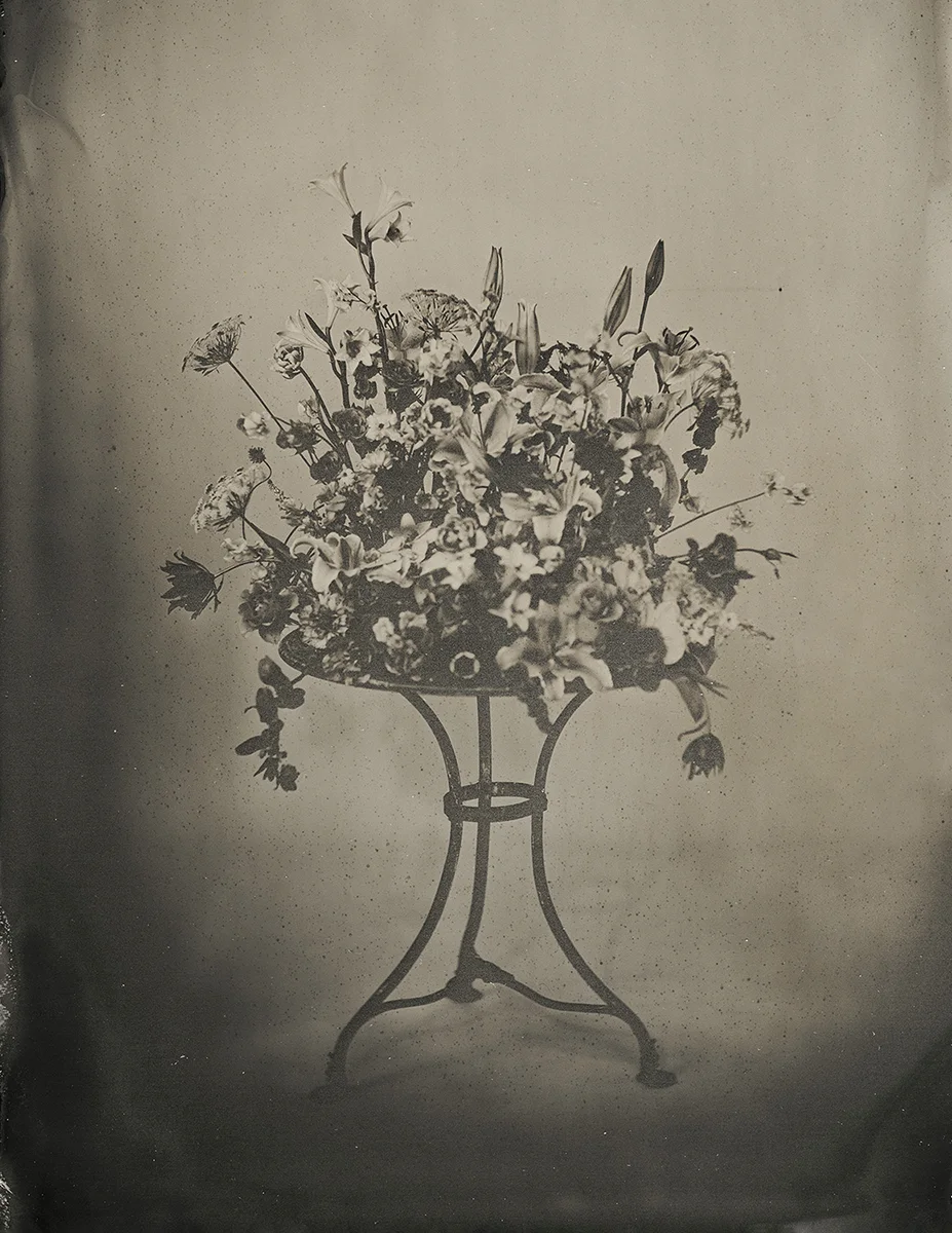 <p>&copy; Yuji Watanabe</p>