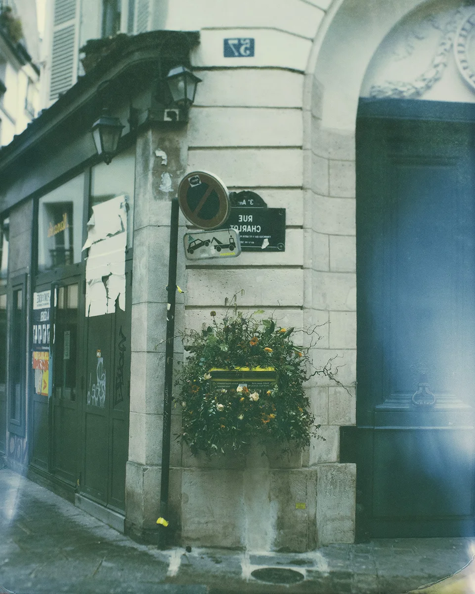 <p>&copy; Yuji Watanabe</p>