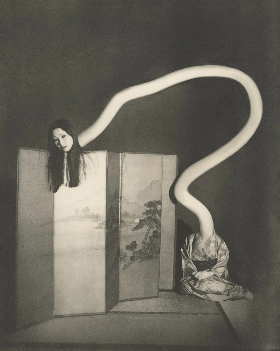 <p>&copy; Yuji Watanabe</p>