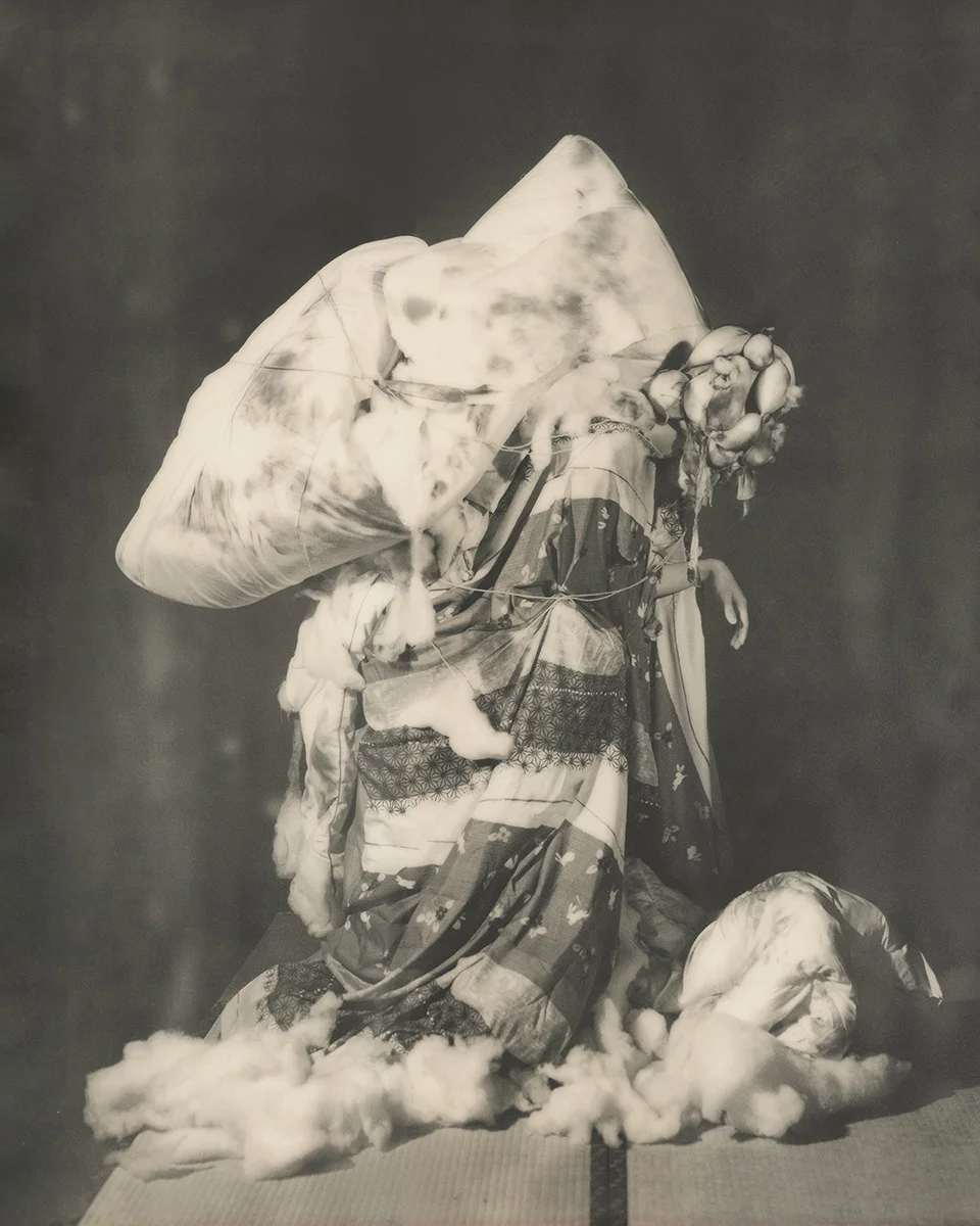 <p>&copy; Yuji Watanabe</p>