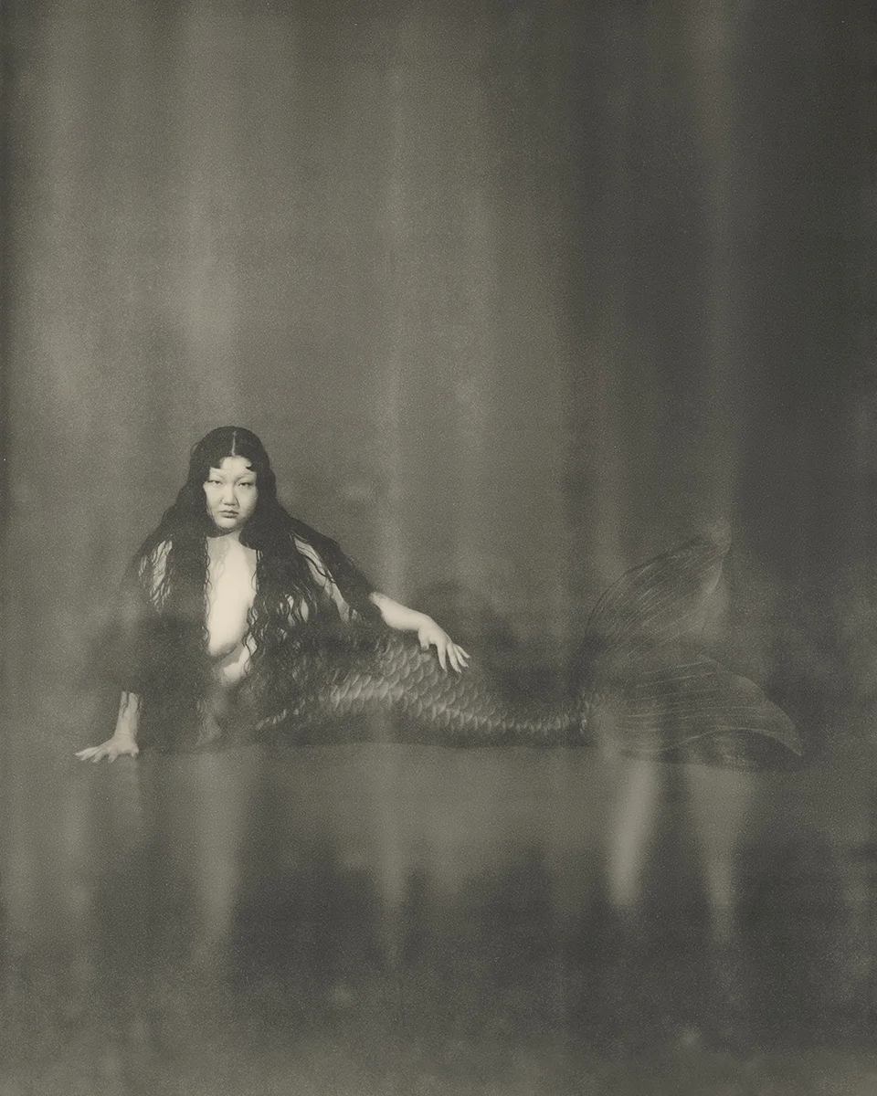 <p>&copy; Yuji Watanabe</p>