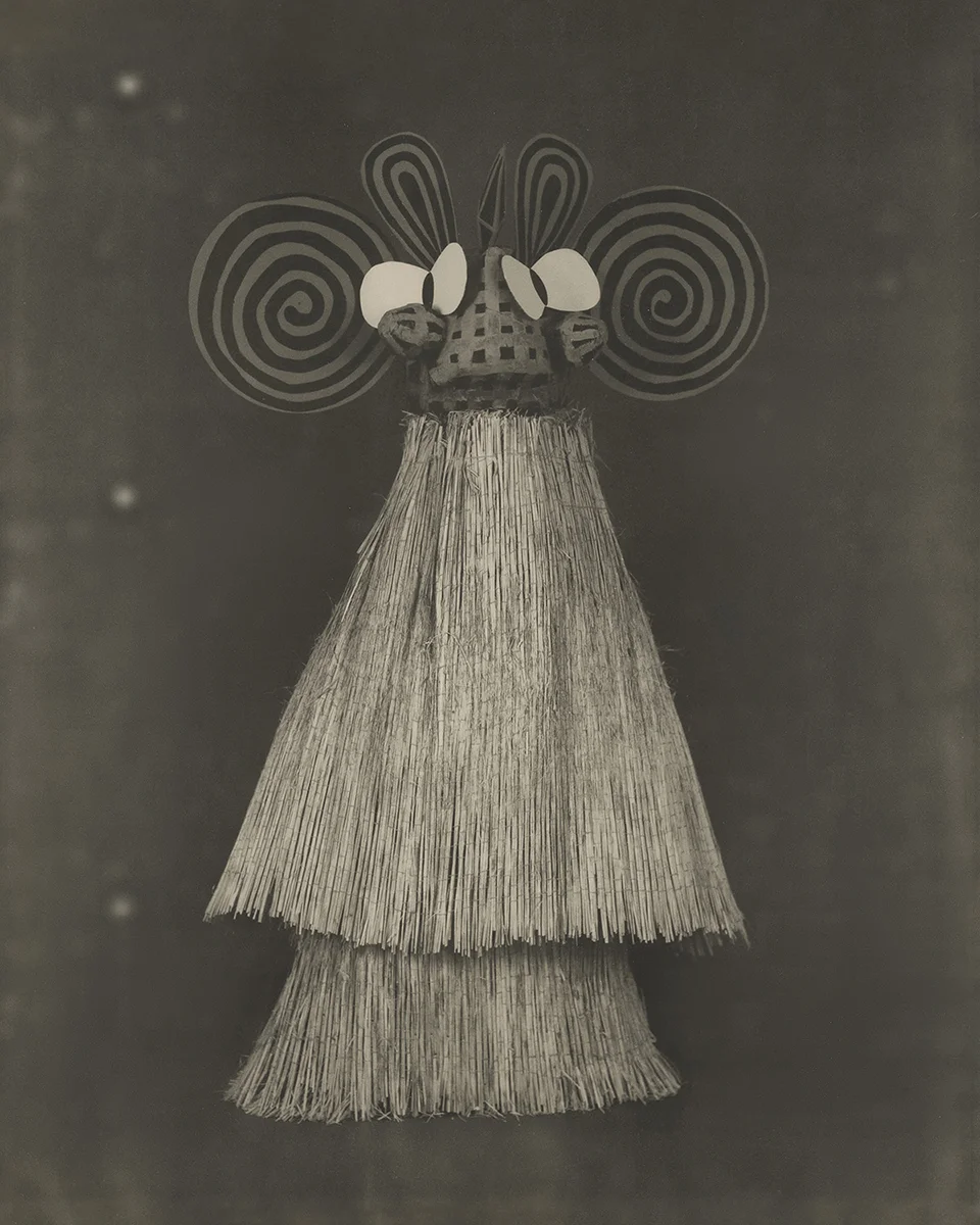 <p>&copy; Yuji Watanabe</p>