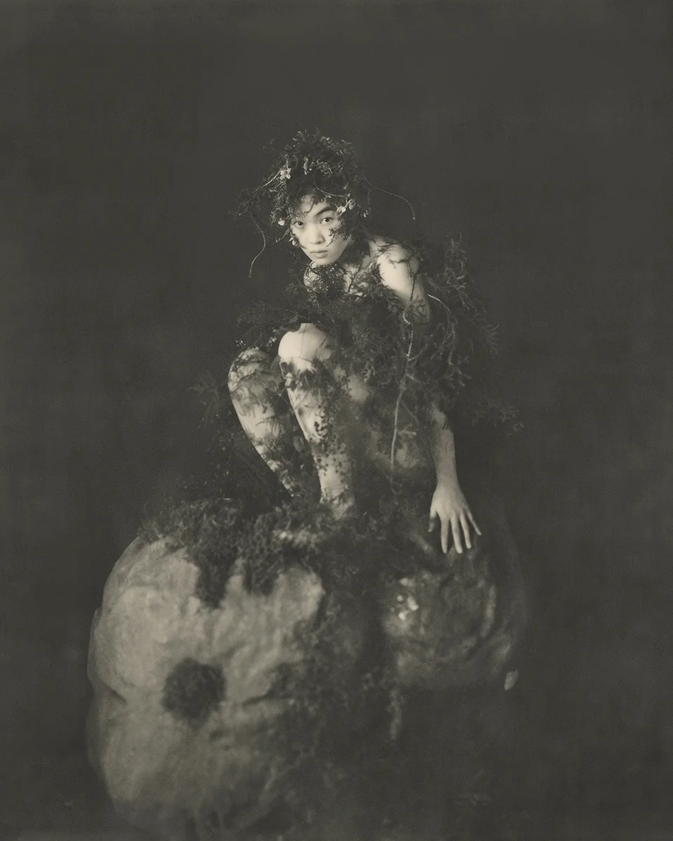 <p>&copy; Yuji Watanabe</p>