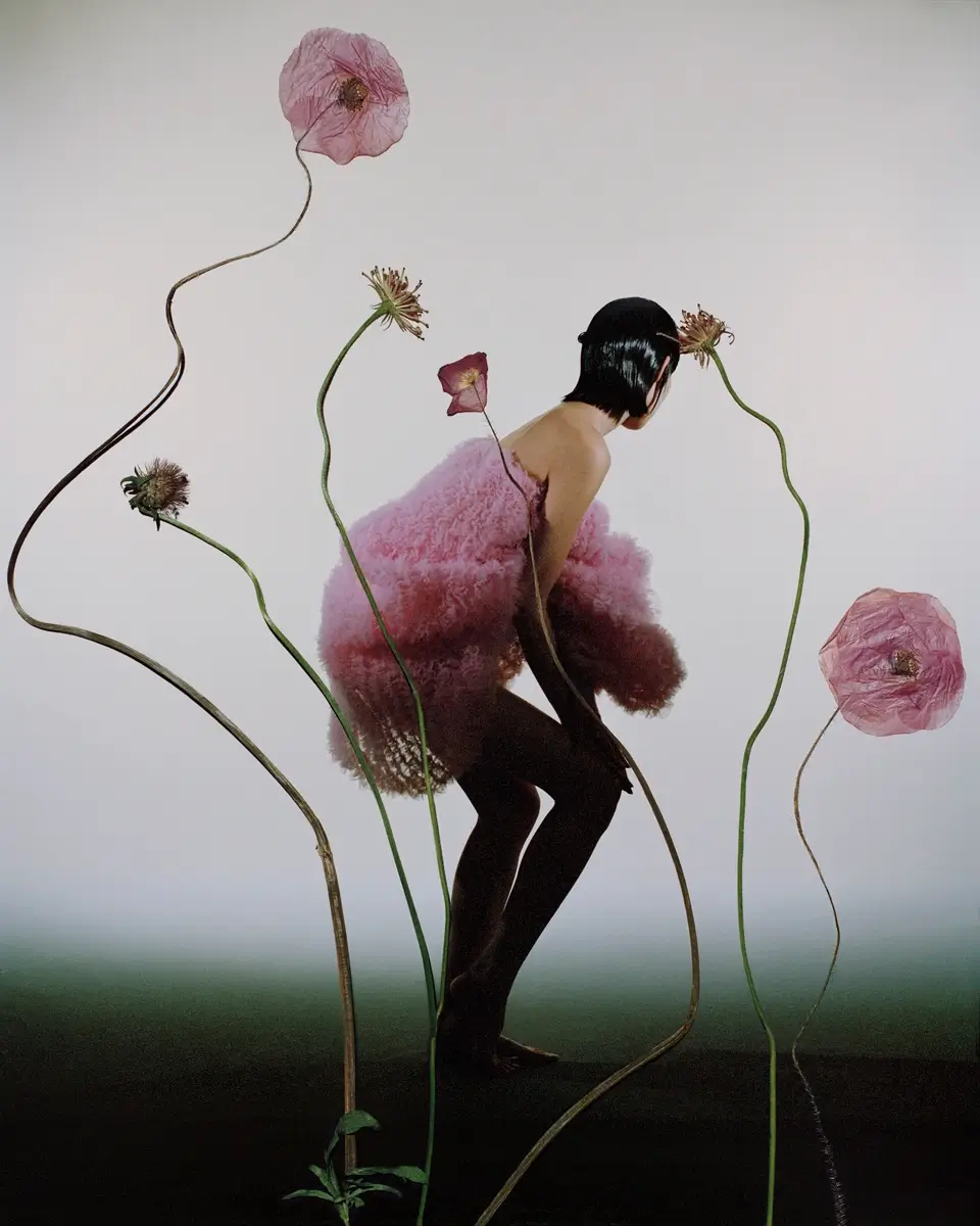 Romantic Memories, Papaver Rhoeas<p>© Han Yang</p>