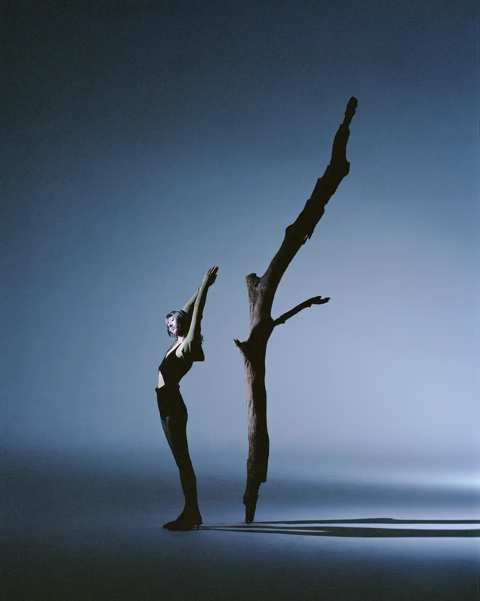 The Life of A Tree I<p>© Han Yang</p>