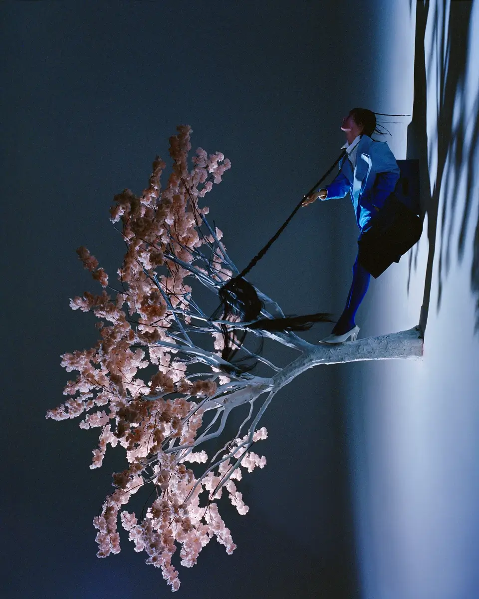 The Life of A Tree III<p>© Han Yang</p>