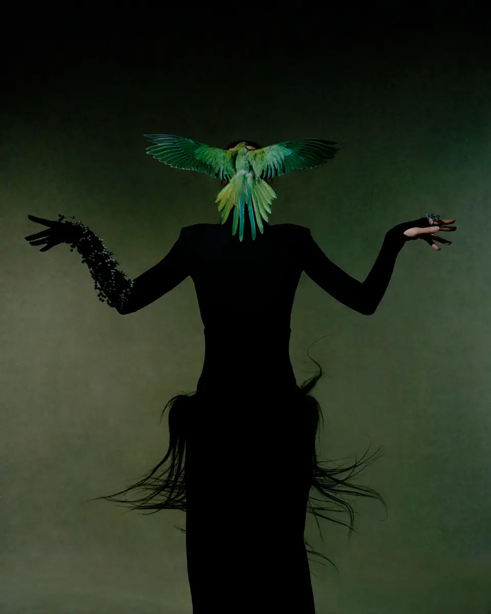 Han Yang