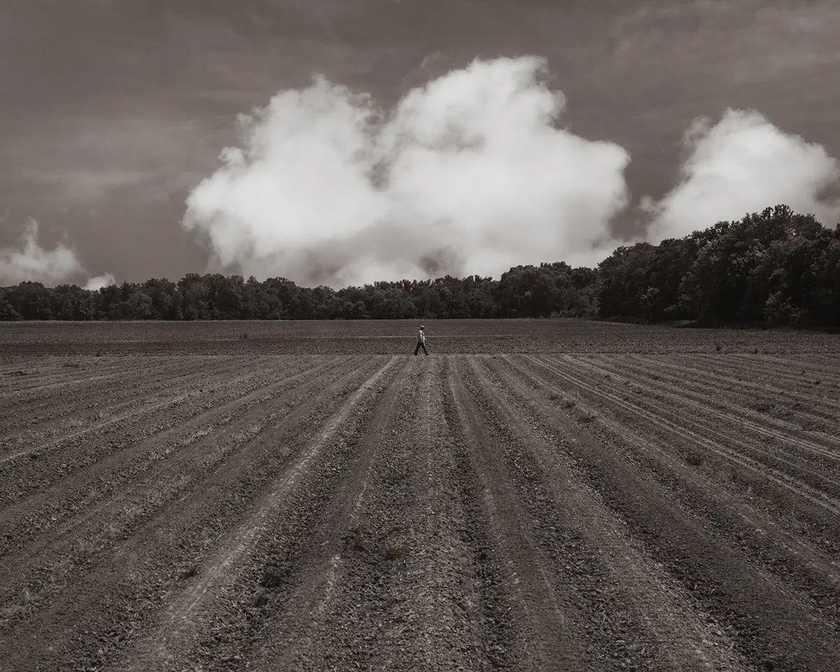 <p>&copy; Samantha Yancey</p>