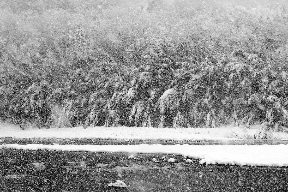 <p>&copy; Takeshi Yamamoto</p>