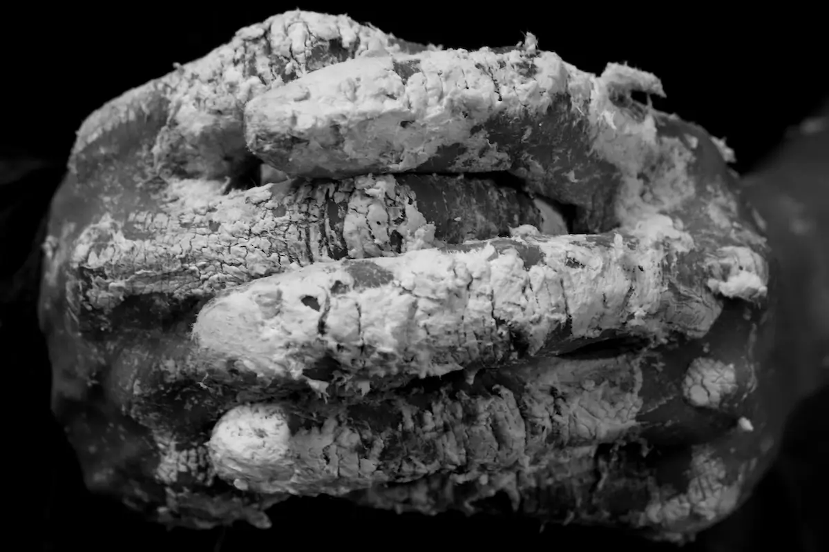 <p>&copy; Takeshi Yamamoto</p>