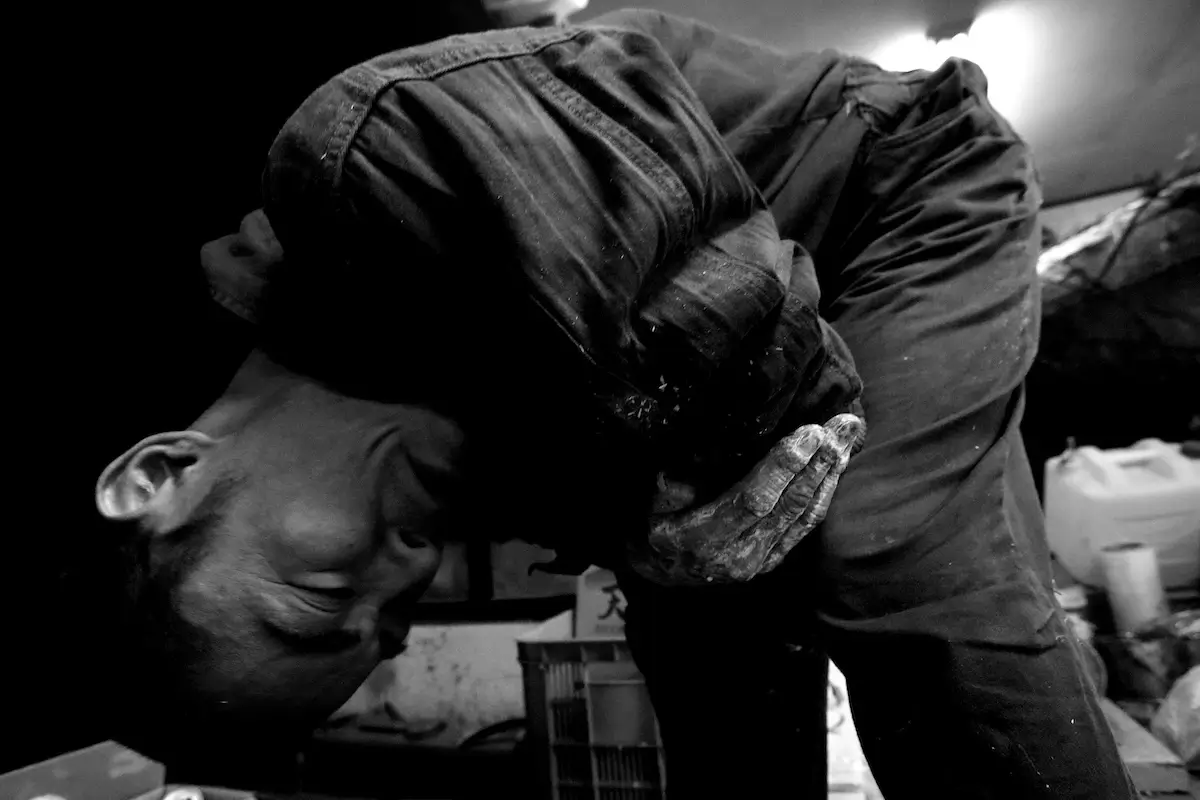 <p>&copy; Takeshi Yamamoto</p>