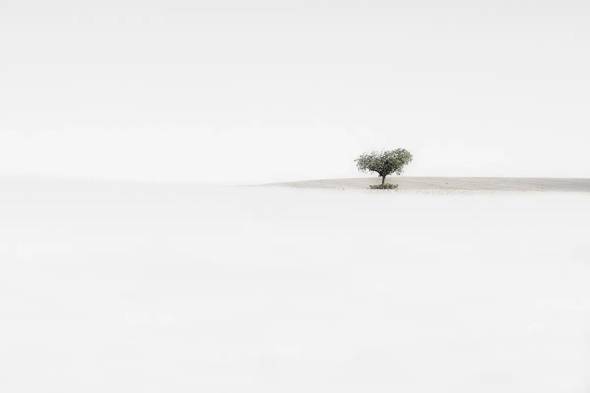<p>© Humberto Ybarra</p>