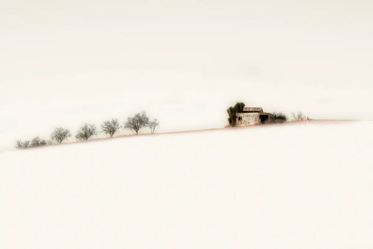<p>© Humberto Ybarra</p>