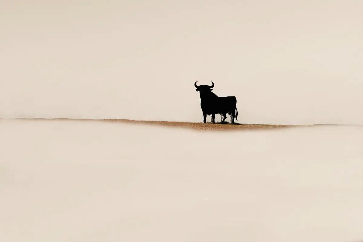 <p>© Humberto Ybarra</p>