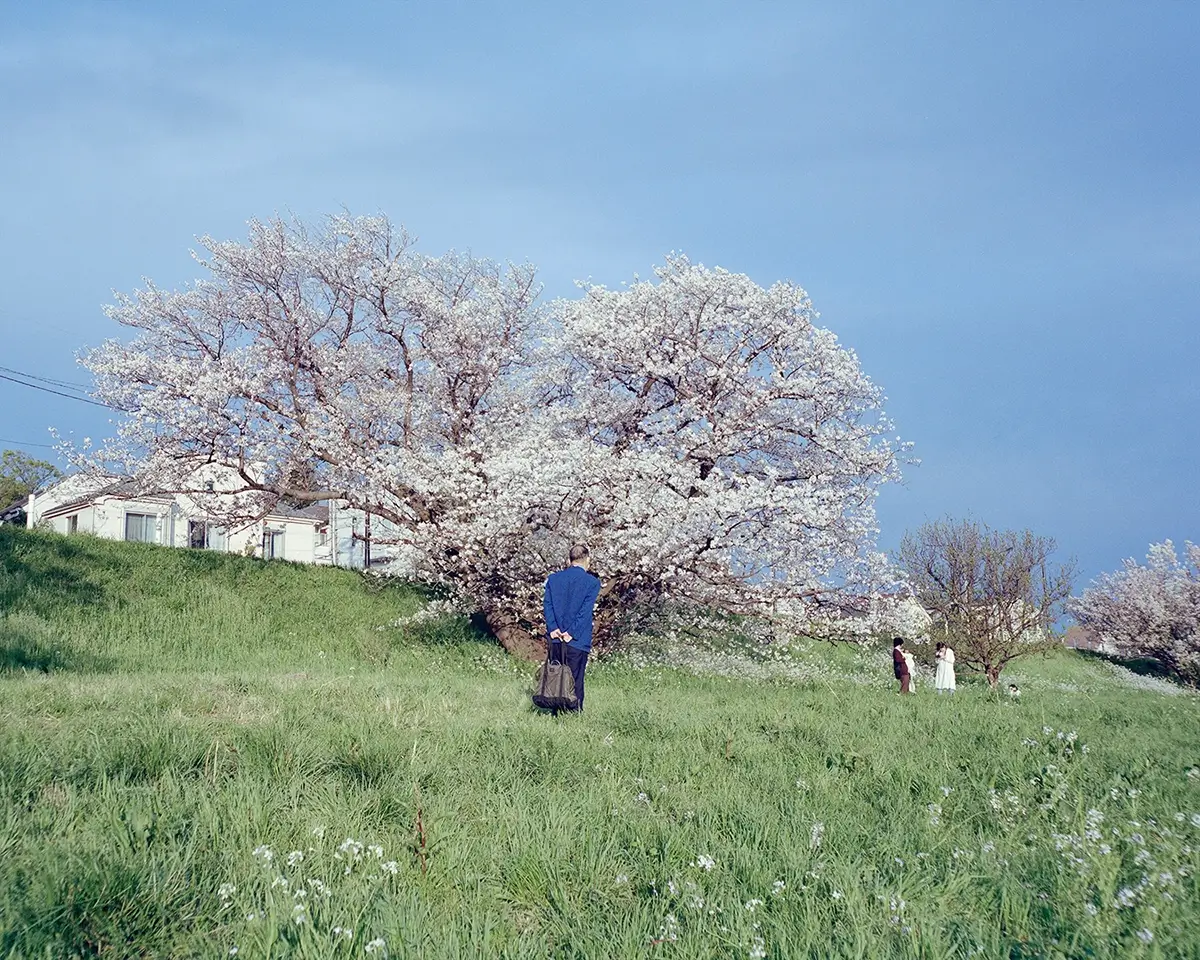<p>&copy; Ying Yin</p>