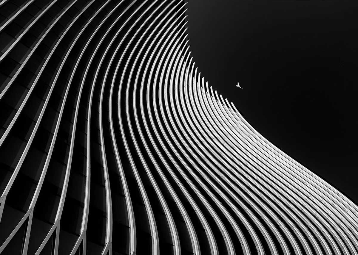 <p>© Ali Zolghadri</p>