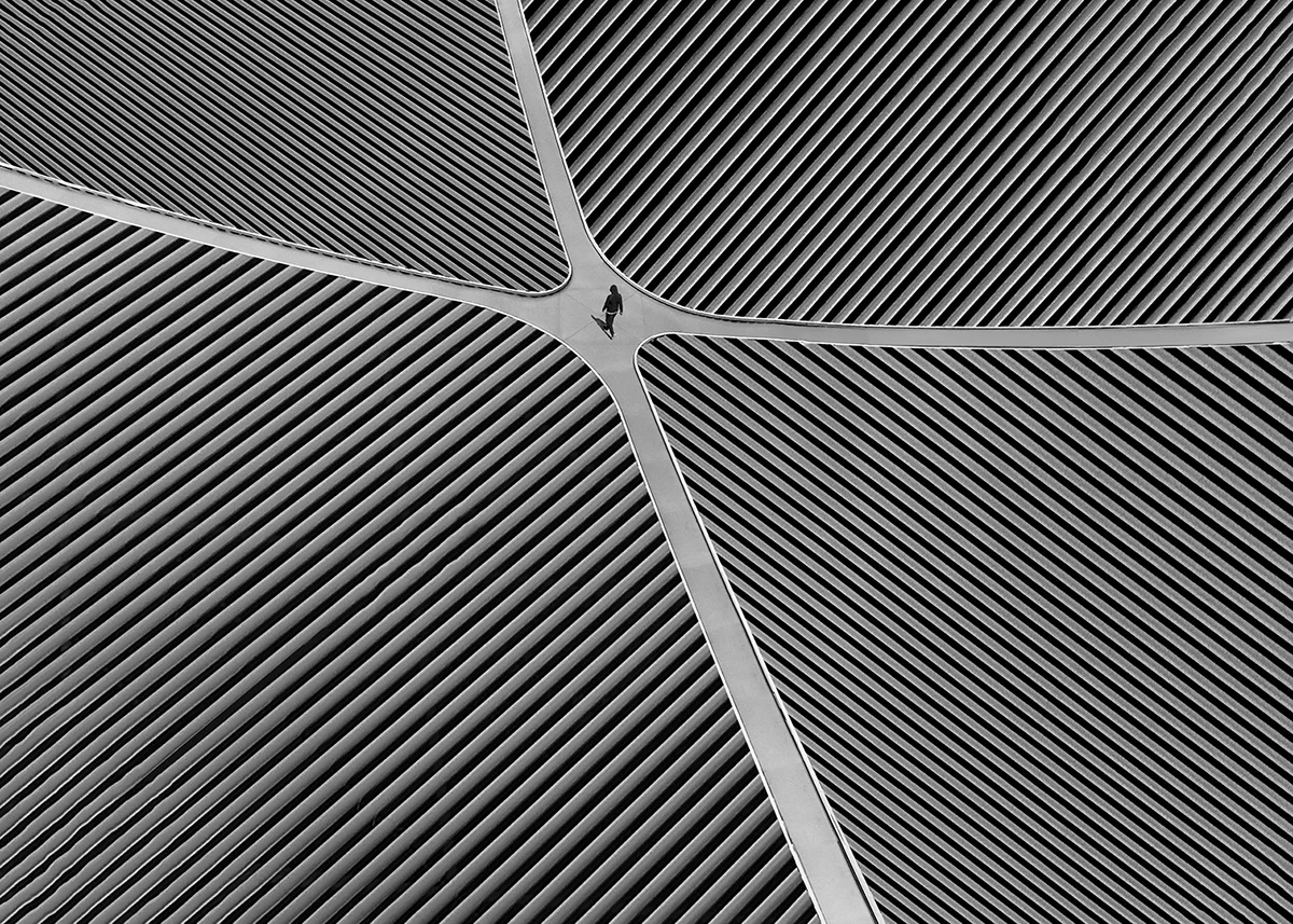 <p>© Ali Zolghadri</p>
