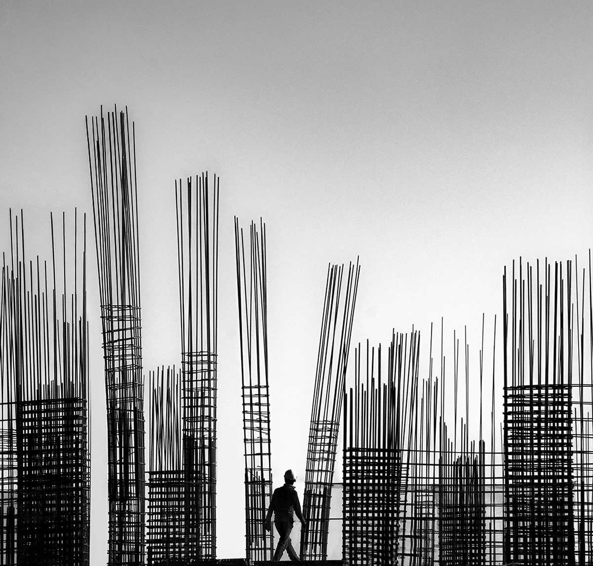 <p>© Ali Zolghadri</p>