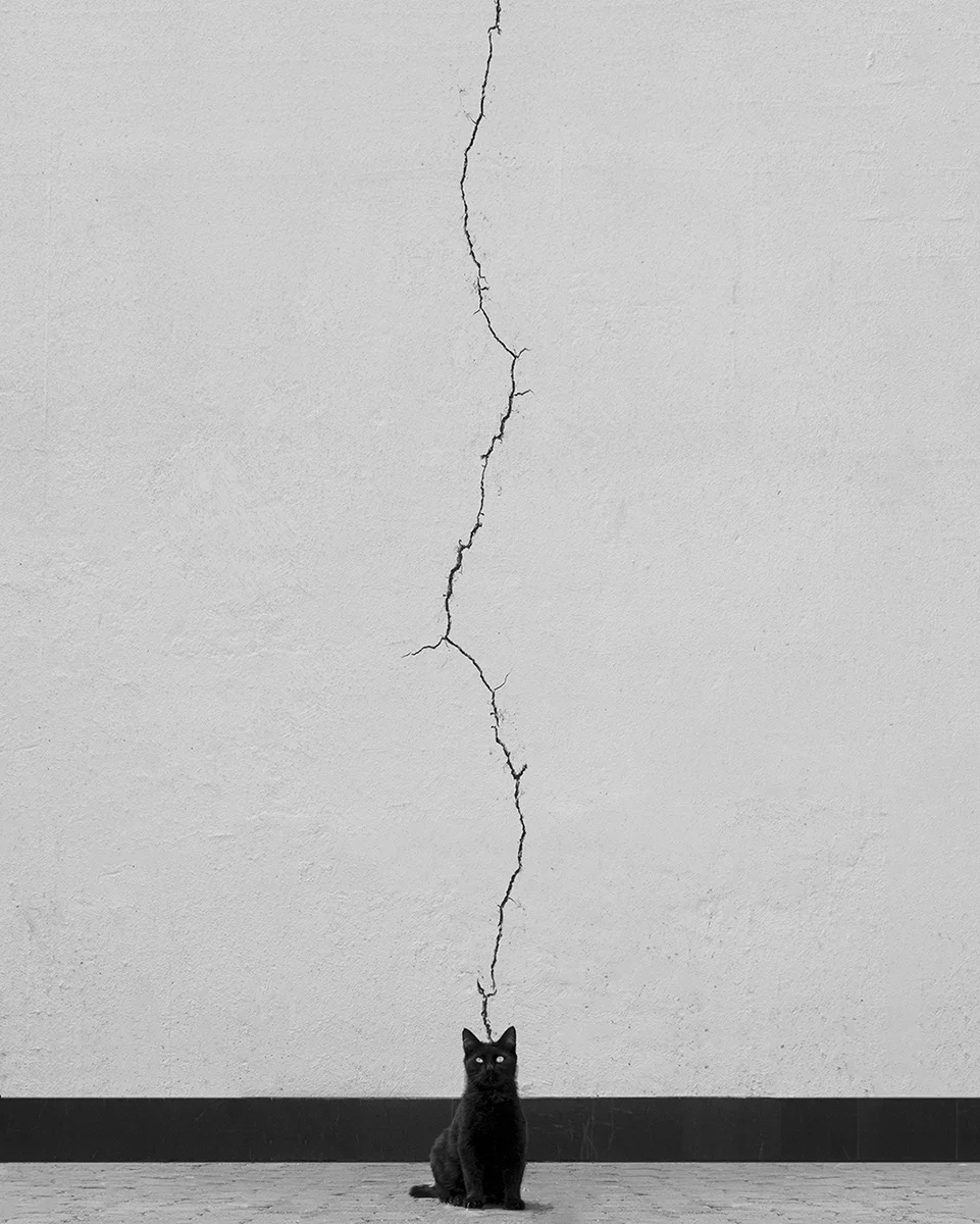 <p>© Ali Zolghadri</p>
