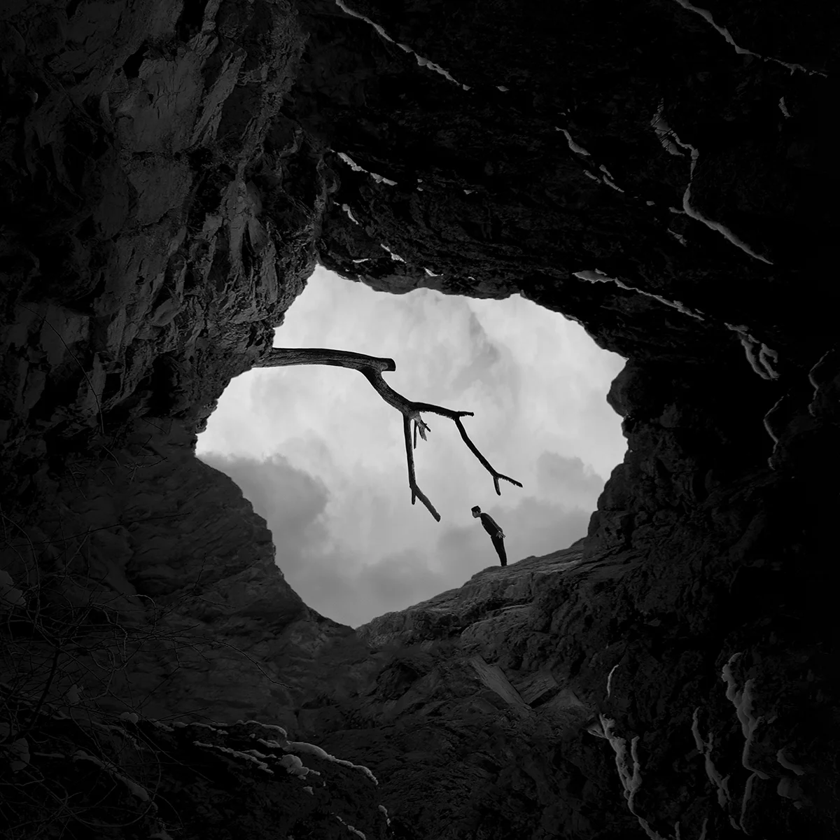 <p>© Ali Zolghadri</p>
