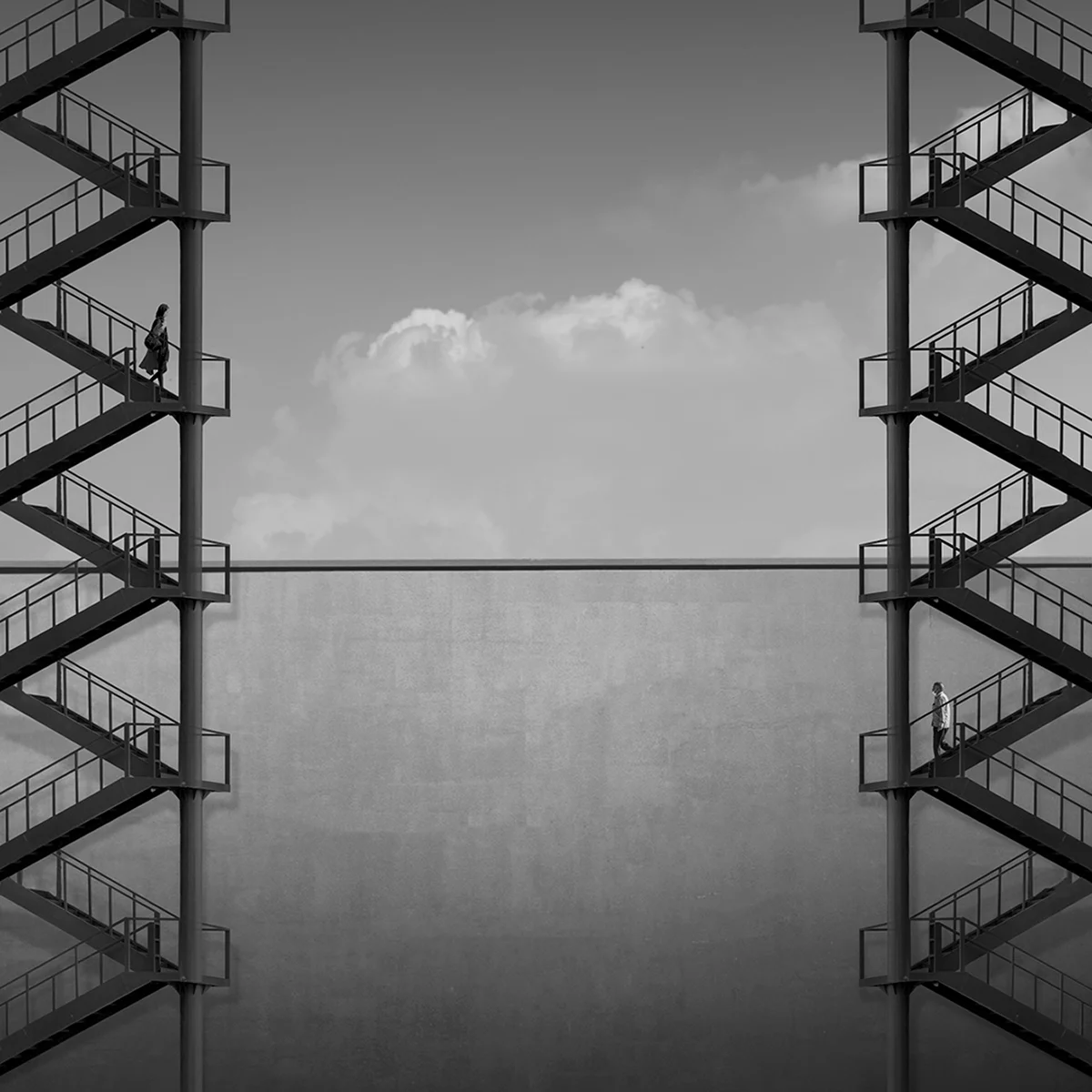 <p>© Ali Zolghadri</p>