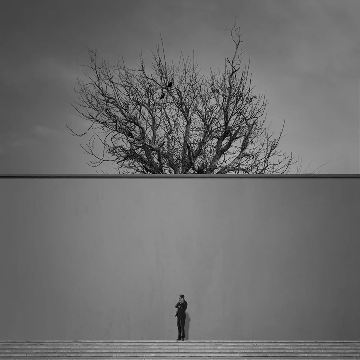 <p>© Ali Zolghadri</p>