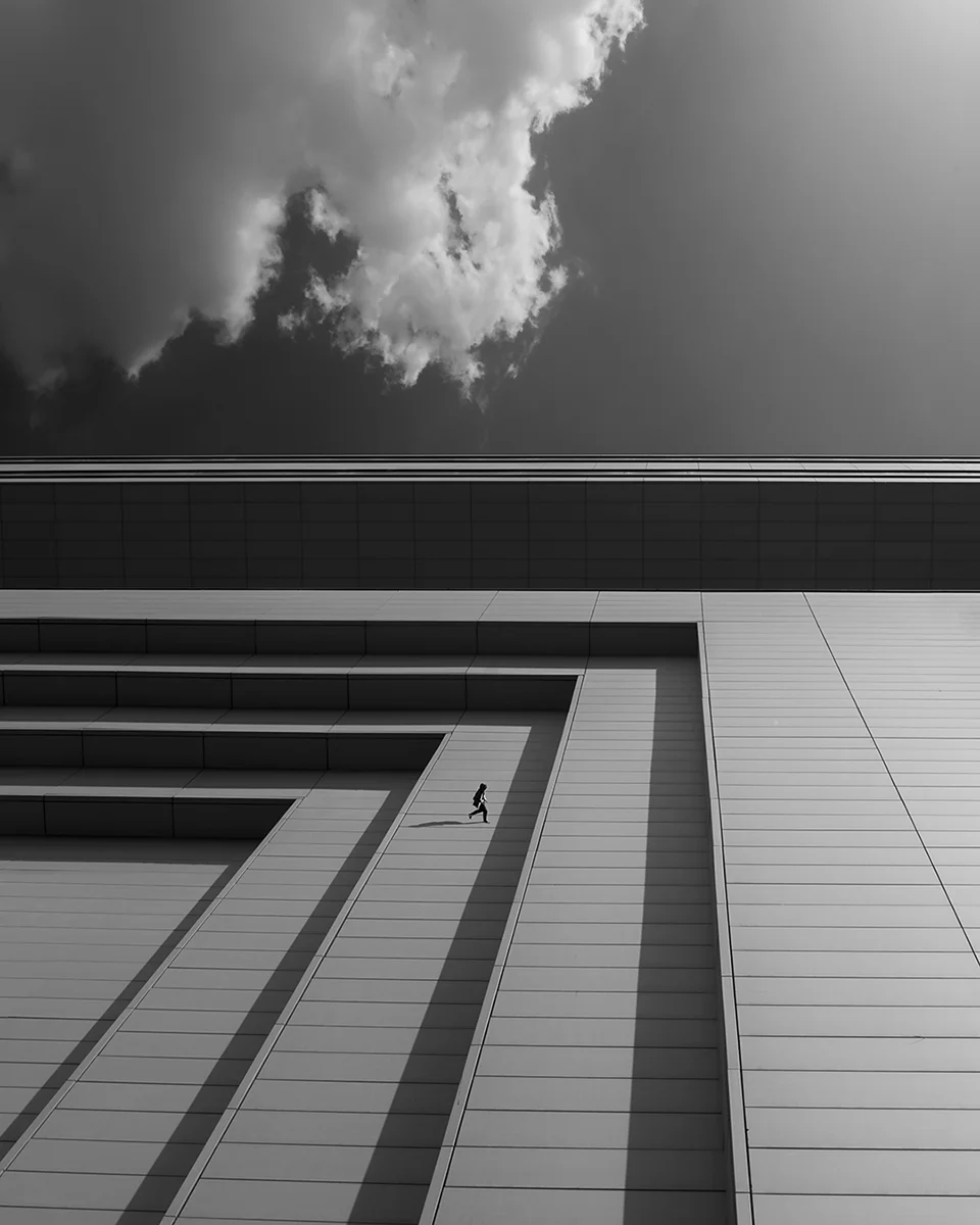 <p>© Ali Zolghadri</p>