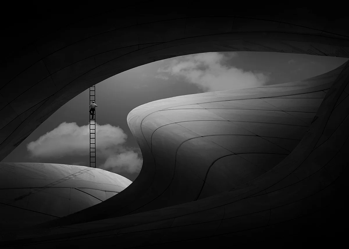 <p>© Ali Zolghadri</p>