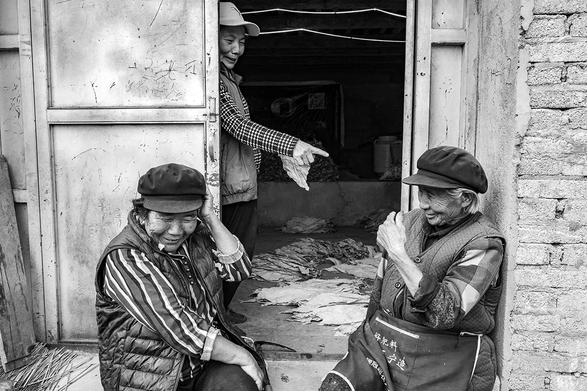 <p>&copy; Cheng Zhu</p>