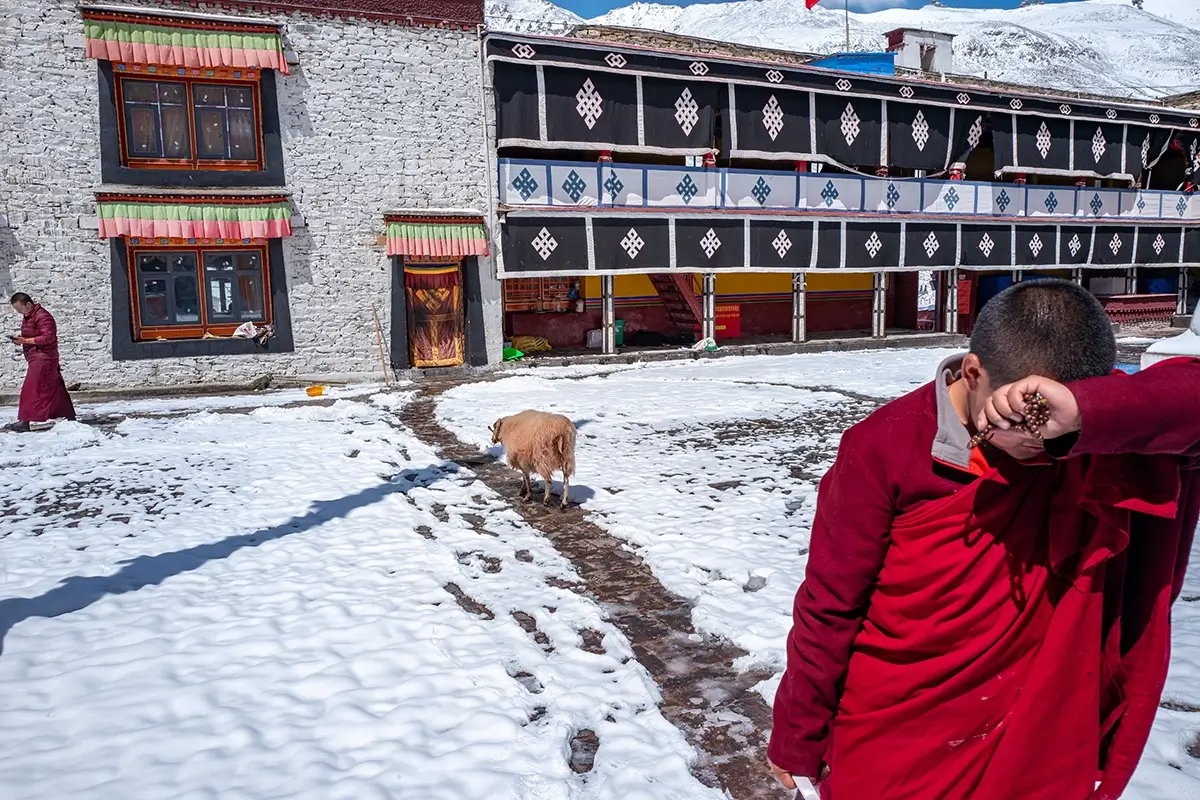 <p>&copy; Cheng Zhu</p>