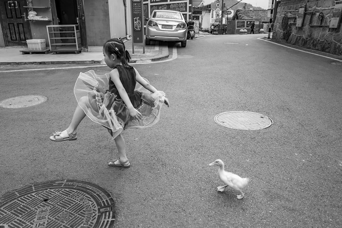 <p>&copy; Cheng Zhu</p>