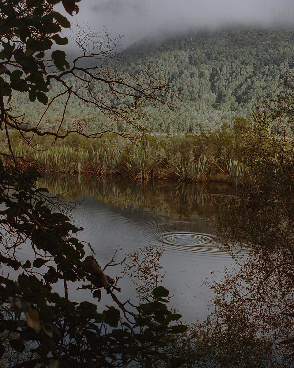<p>© Chiara Zonca</p>